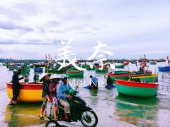 -美奈渔村