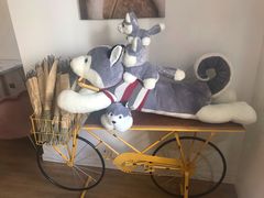 -Husky Go! 哈士奇体验馆·宠物咖啡厅狗咖