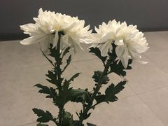 -侵华日军南京大屠杀遇难同胞纪念馆