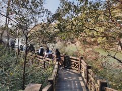 -白马涧龙池景区
