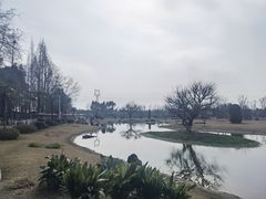 -夏河溪乡野公园