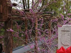 -南汇桃花村