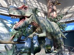 -国家自然博物馆