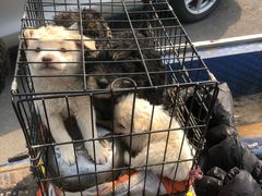 -溪口-滕头旅游景区