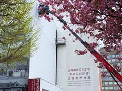 -北海道厅旧本厅舍(旧本庁舎)