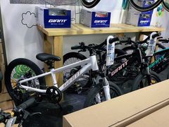 -GIANT捷安特自行车专卖店(金桥台儿庄路店)
