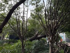 -杭州城北体育公园