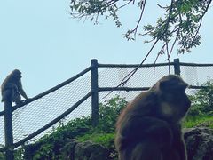 -峨眉山风景名胜区