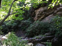 -云岫谷自然风景区
