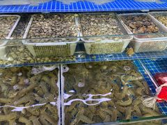 -中福百货(望京店)