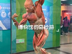 -国家自然博物馆