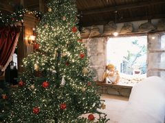 -Lamant Manor已闻花名关於蓝