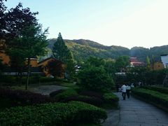 -九华山聚龙大酒店