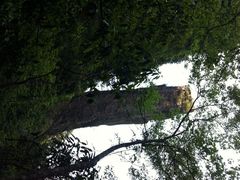 iphone_upload_pic-龙湾潭国家森林公园