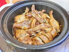 -百家春好德来姜母鸭