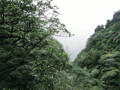 -萍乡武功山风景名胜区