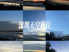 -宝安西湾红树林湿地公园