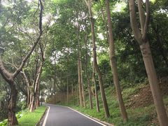 -广州雕塑公园