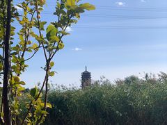 -永定河休闲森林公园