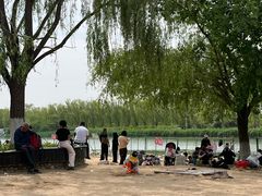 -大兴滨河森林公园