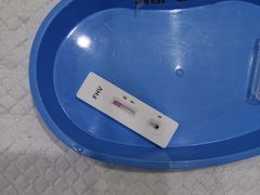 -嘉美宠物医院