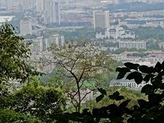 -紫金山山顶公园