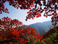 -周口店坡峰岭风景区