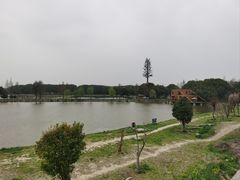 -广富林郊野公园