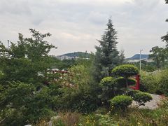-羊山湖公园