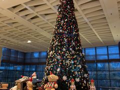 -咖啡厅自助餐厅(贵阳中天凯悦酒店)