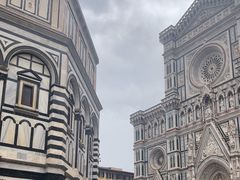 -圣母百花大教堂穹顶