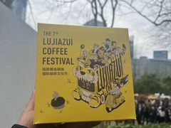 -陆家嘴中心绿地