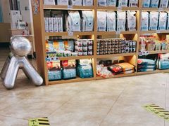 -美联众合动物医院·24h转诊中心