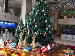 -成都世纪城假日酒店-西楼