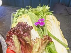 -阳坊涮肉(西直门凯德mall店)