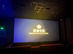 -华美国际影城(旧宫永辉店)