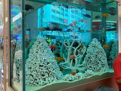 -崇光百货(铜锣湾店)