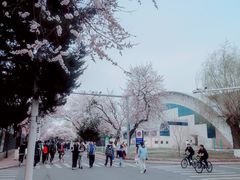 -吉林大学(南岭校区)