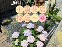 -小魚花店