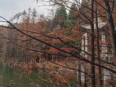 -四明山国家森林公园
