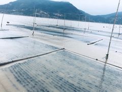-北岐滩涂