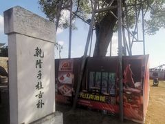 -观潮胜地公园