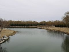 -大兴滨河森林公园