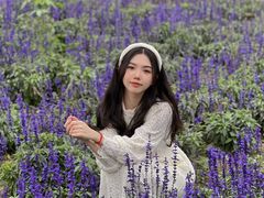 -丹樱生态园