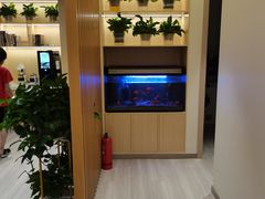 -智慧盲人按摩艾灸-颈肩腰膝疼痛调理(浦东店)