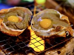 -鰓呼吸 石垣島 美崎町店