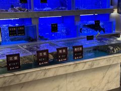-箸福·夜上海(雨花客厅店)