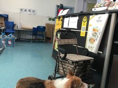 -北京赛佳动物医院