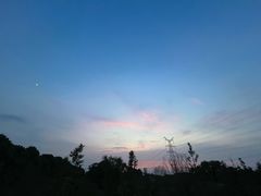 -漕湖湿地公园