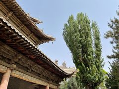 -张掖大佛寺景区